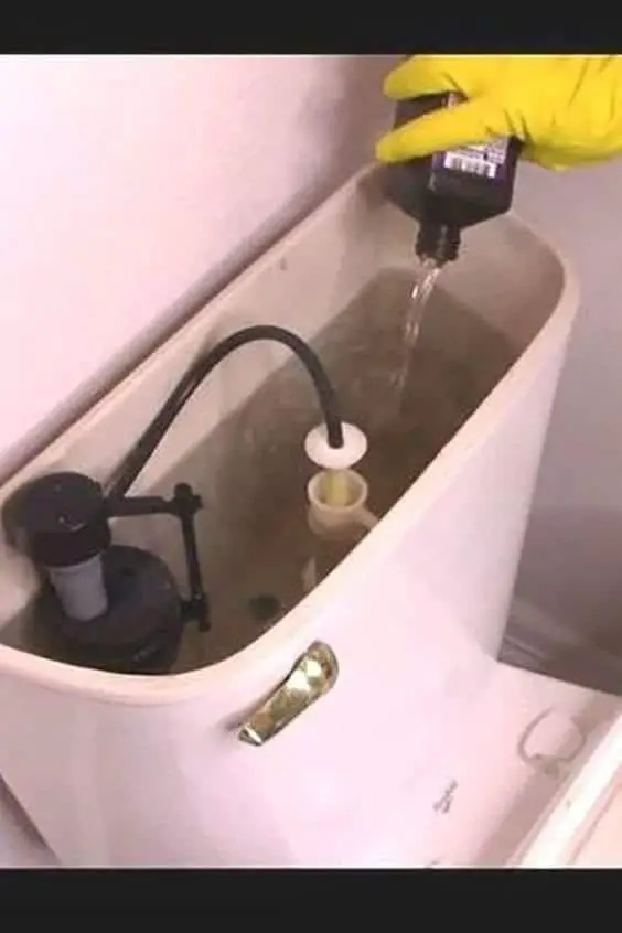 Titelbild für How to cleaning toilet from top to bottom