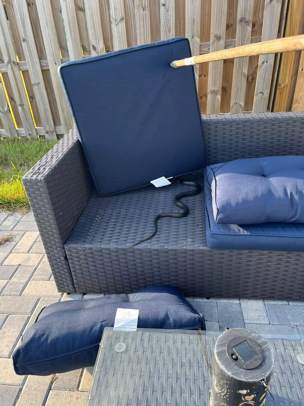 Titelbild für 8 Easy Ways To Keep Snakes Away From Your Yard