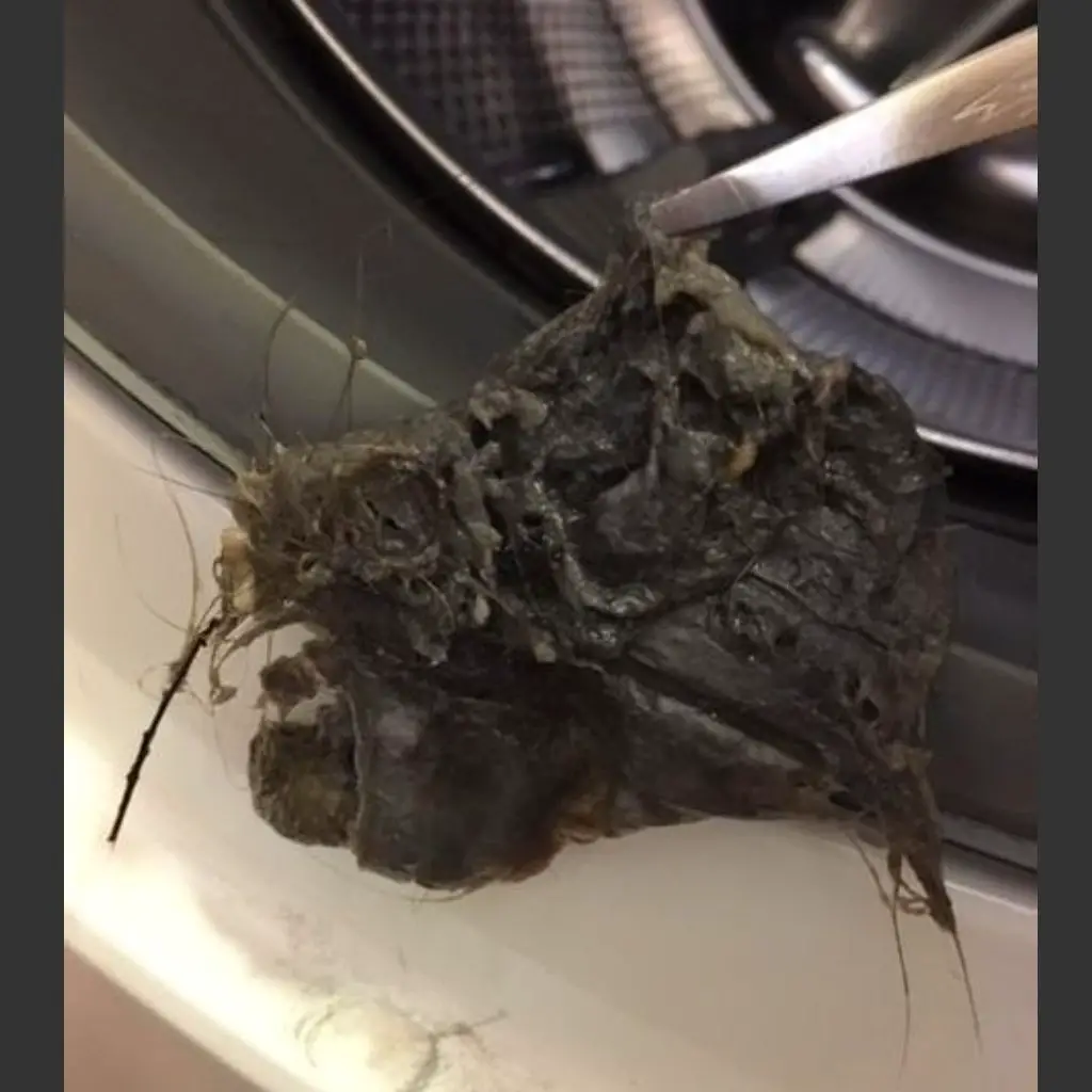 Titelbild für How to Clean a Front Loading Washing Machine