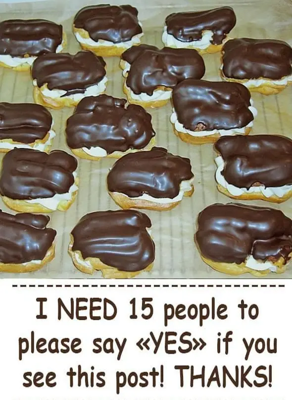Titelbild für CHOCOLATE ECLAIRS